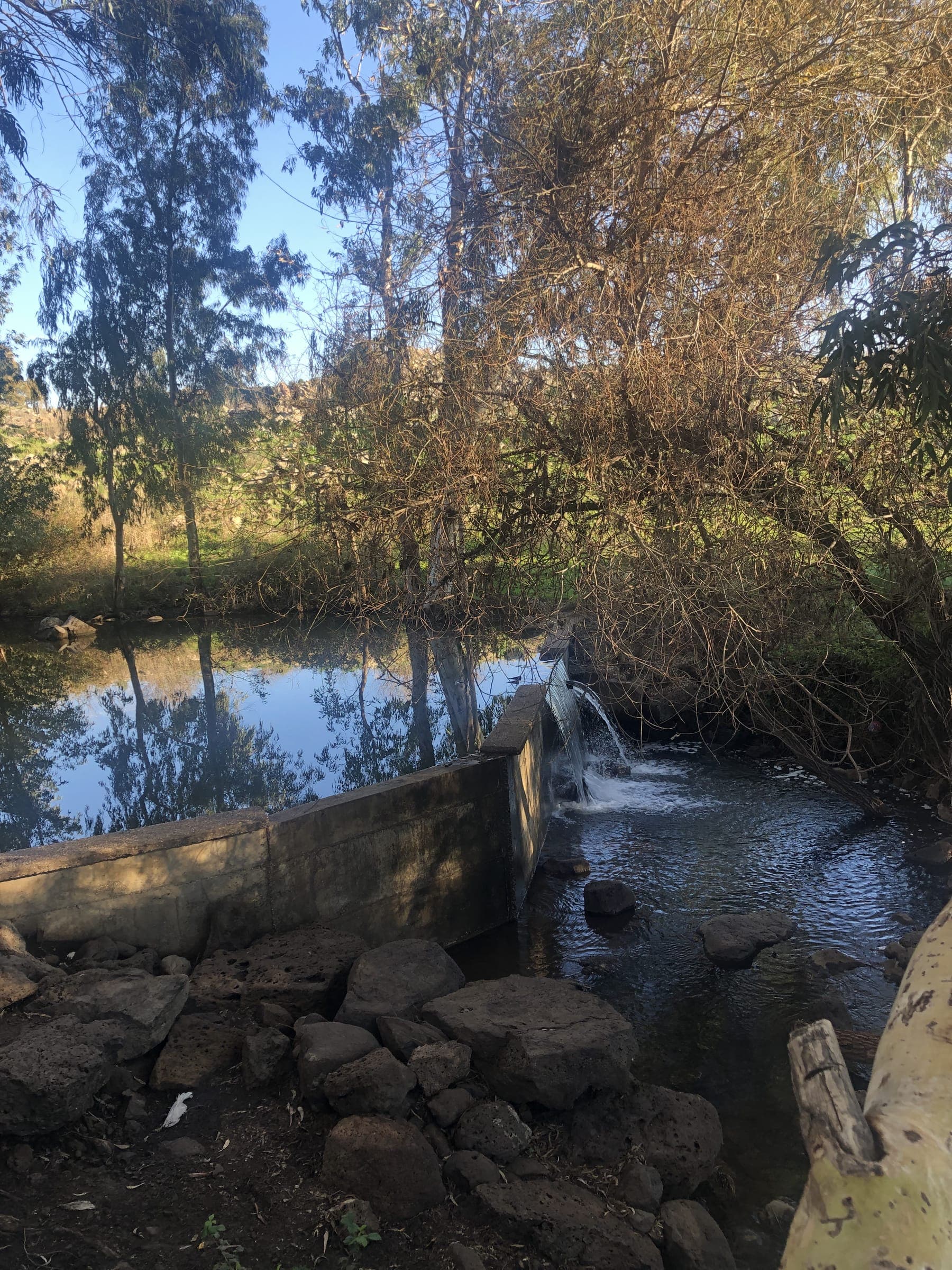 אלרון — מסביב 6