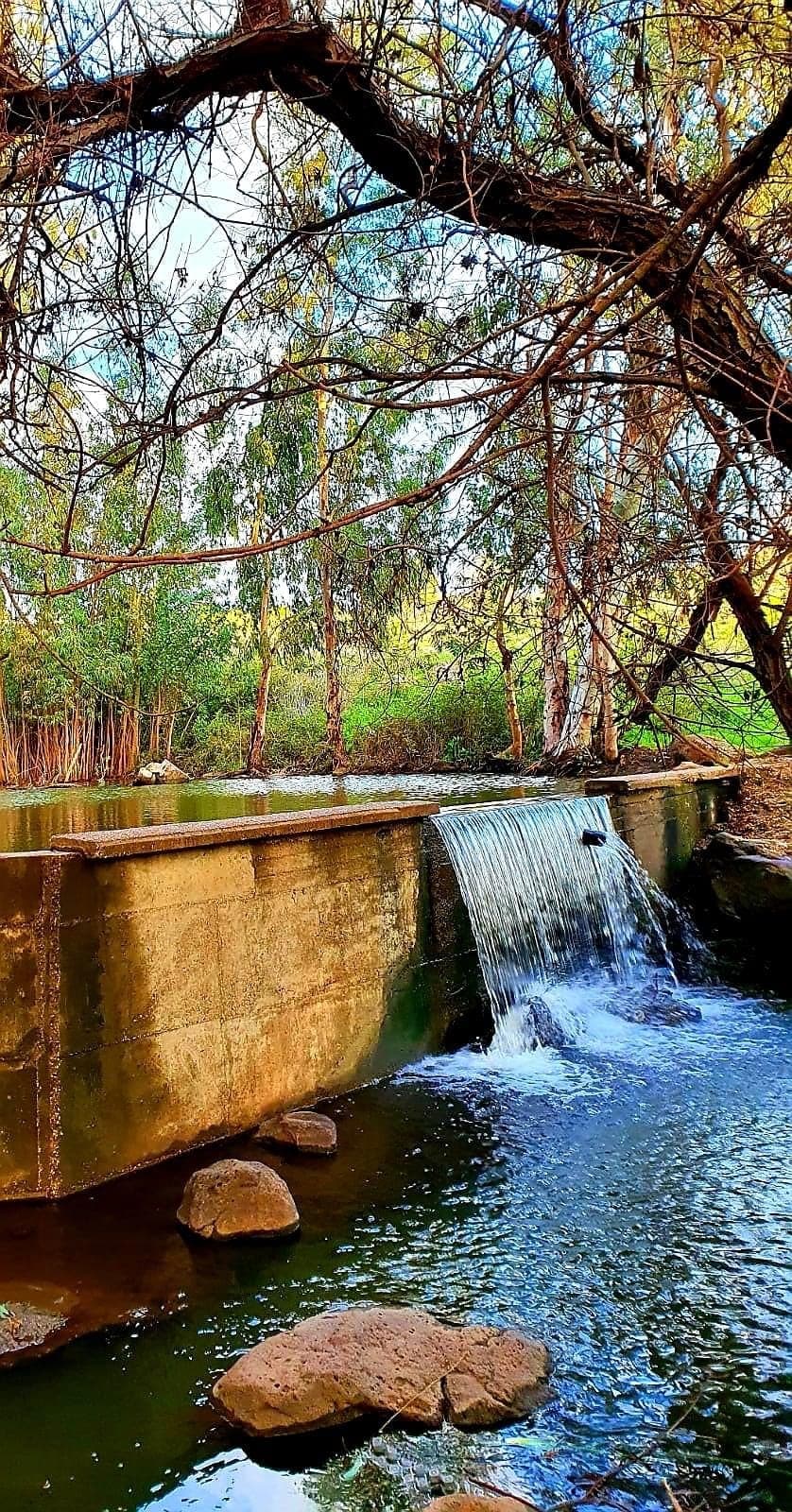 אלרון — מסביב 8