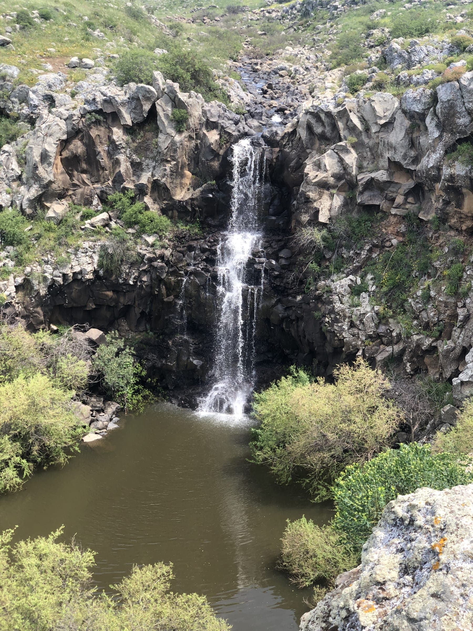 אלרון — מסביב 16