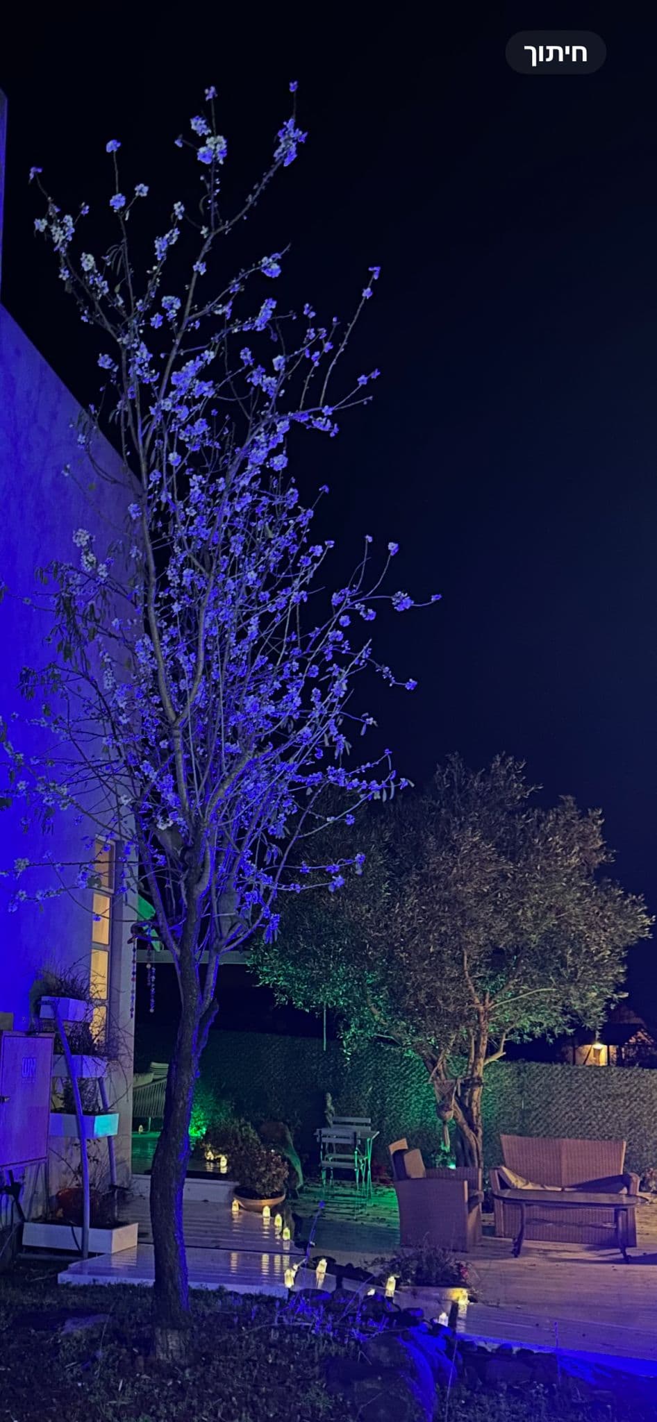 אלרון — חצר 17